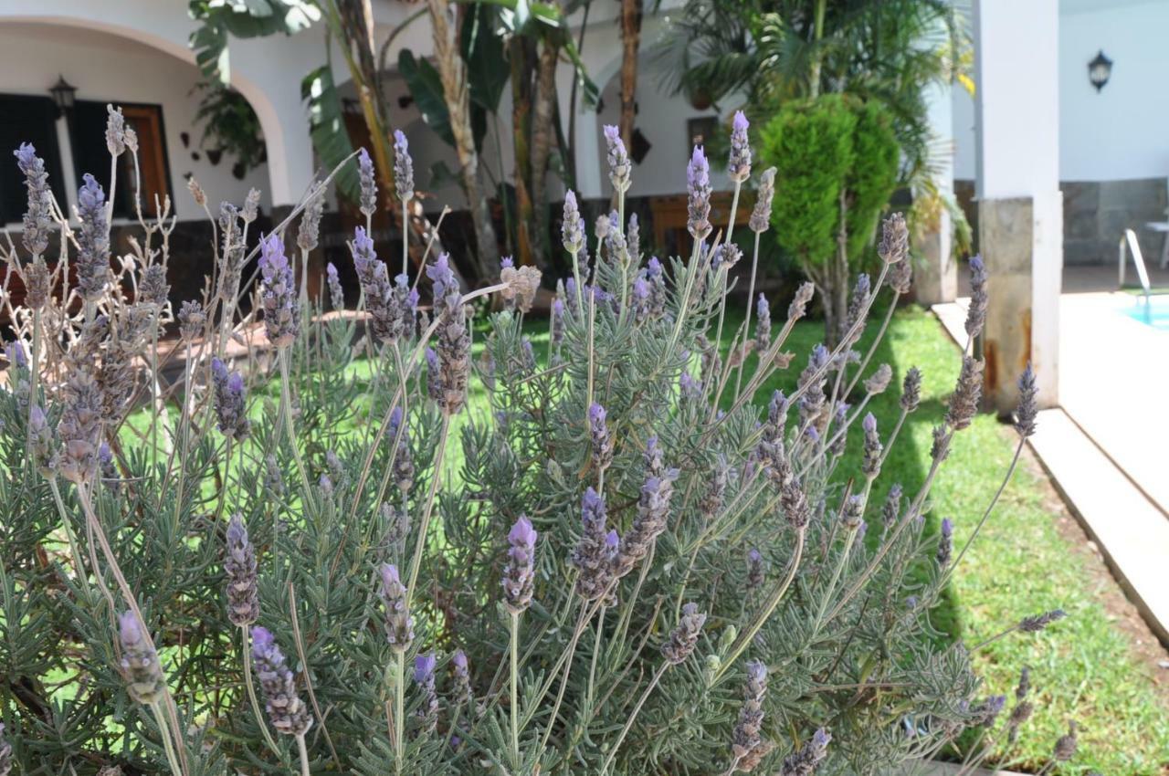 Bonita Casa Calida Para El Relax Con Wifi Valsequillo de Gran Canaria Eksteriør billede